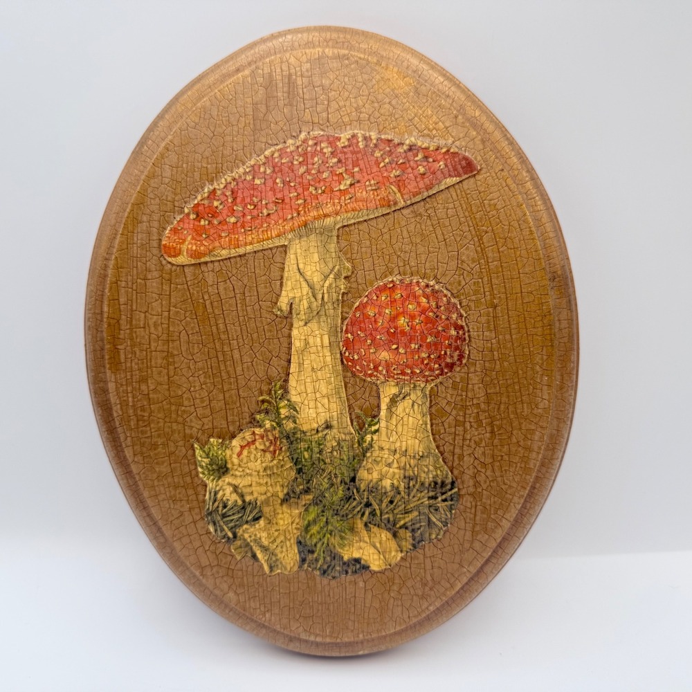 Vintage Mushroom Wood Wall Plaque Oval Decoupage Amanita Muscaria 70s Retro 9x7